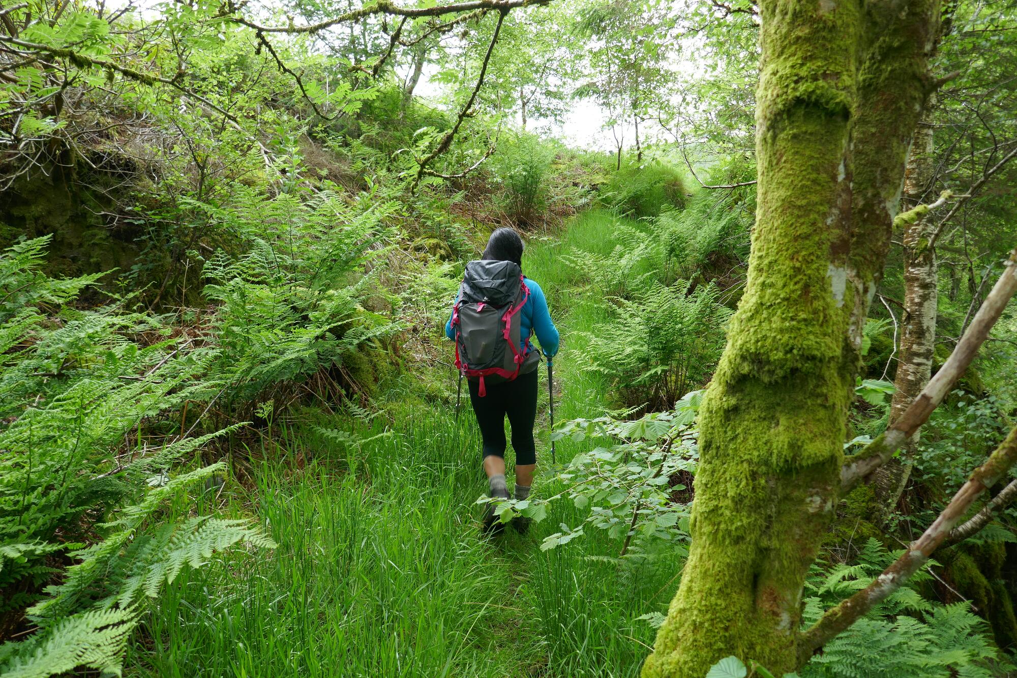 RachelSeabrook.net | Wild Walking | Devils-Bridge; pic35